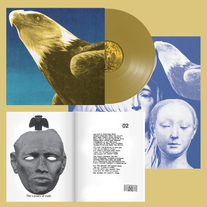 Pre-Order: Protomartyr - Hotel Usona