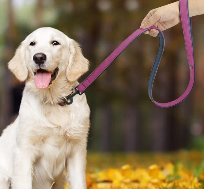 Pull-Resistant Leather Pet Leash