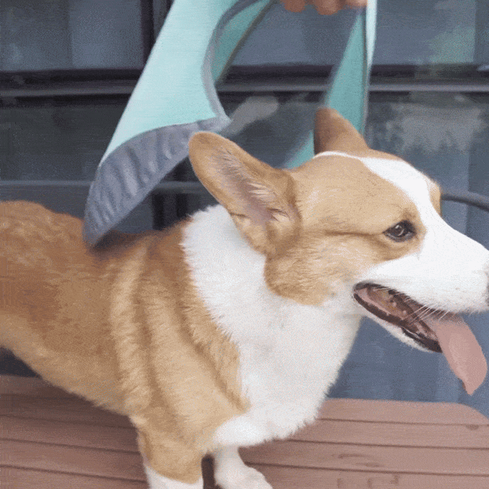 Quick-Dry Cooling Dog Vest | Reflective, Lightweight & Safe for Outdoor Use