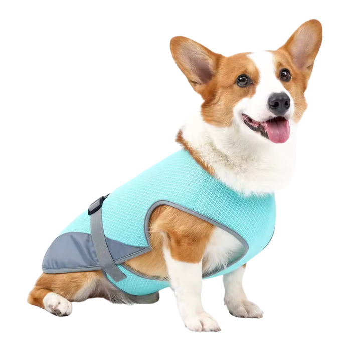 Quick-Dry Cooling Dog Vest | Reflective, Lightweight & Safe for Outdoor Use
