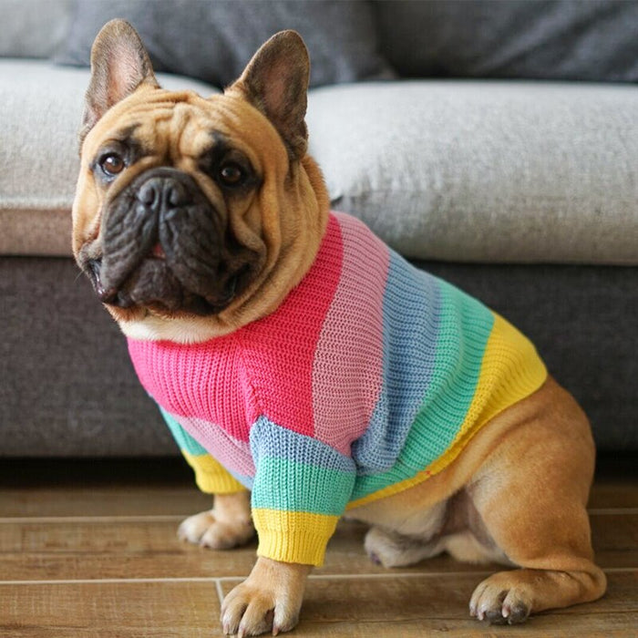 Rainbow Pet Sweater