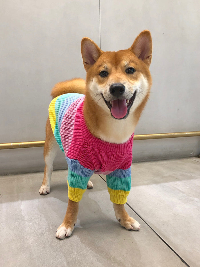 Rainbow Pet Sweater