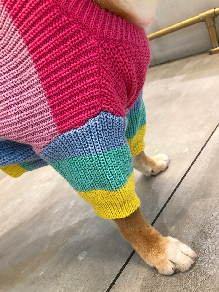 Rainbow Pet Sweater