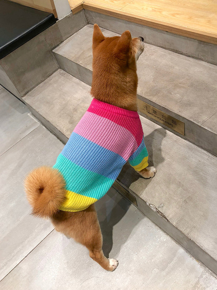 Rainbow Pet Sweater