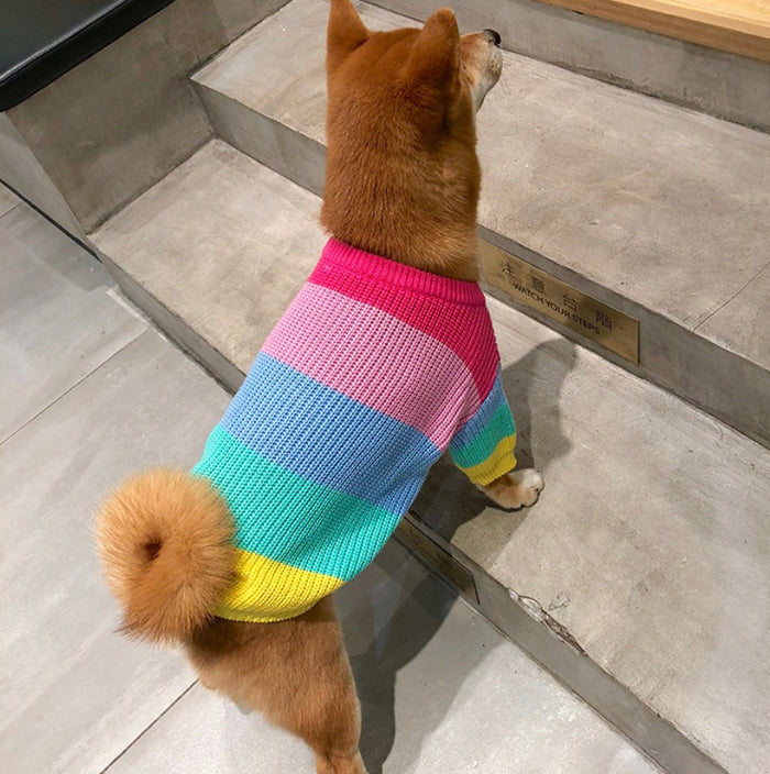 Rainbow Sweater for Small Pets, Puppy Clothes