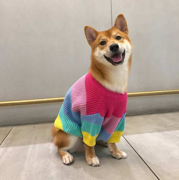 Rainbow Sweater for Small Pets, Puppy Clothes