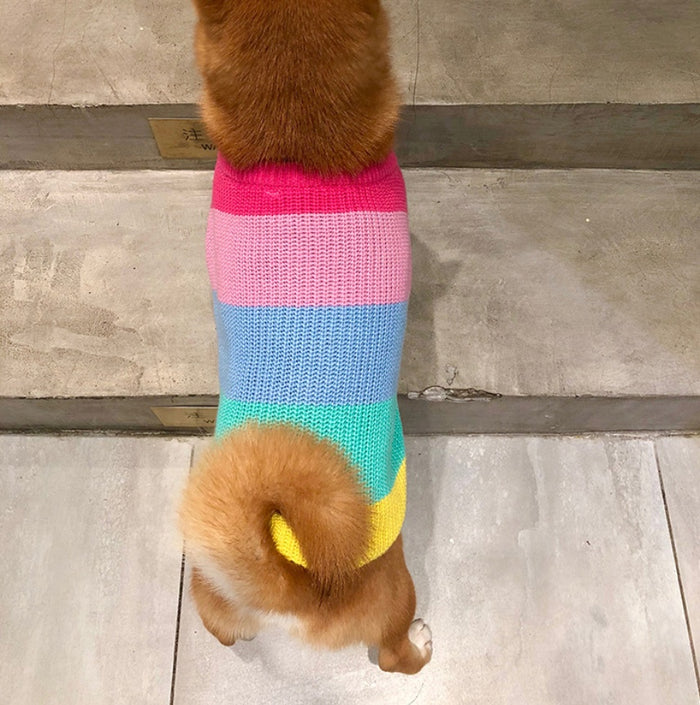 Rainbow Sweater for Small Pets, Puppy Clothes