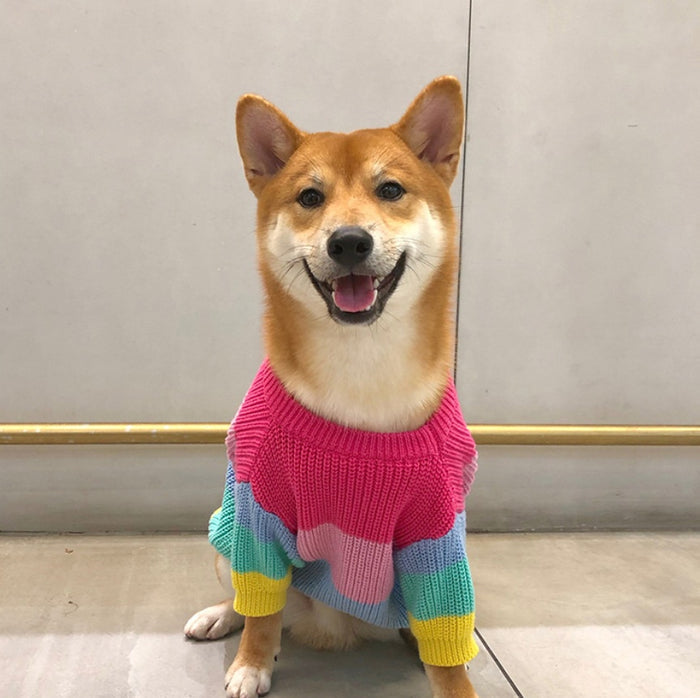 Rainbow Sweater for Small Pets, Puppy Clothes