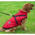 RainGuard - 3 in 1 Dog Jacket