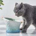 Raised Ceramic Cat Bowl – Cute Fish-Shaped Elevated Food & Water Bowl