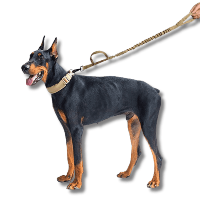 RangerPro Tactical Dog Collar & Leash Set for Dogs – Heavy-Duty Nylon Training Collar