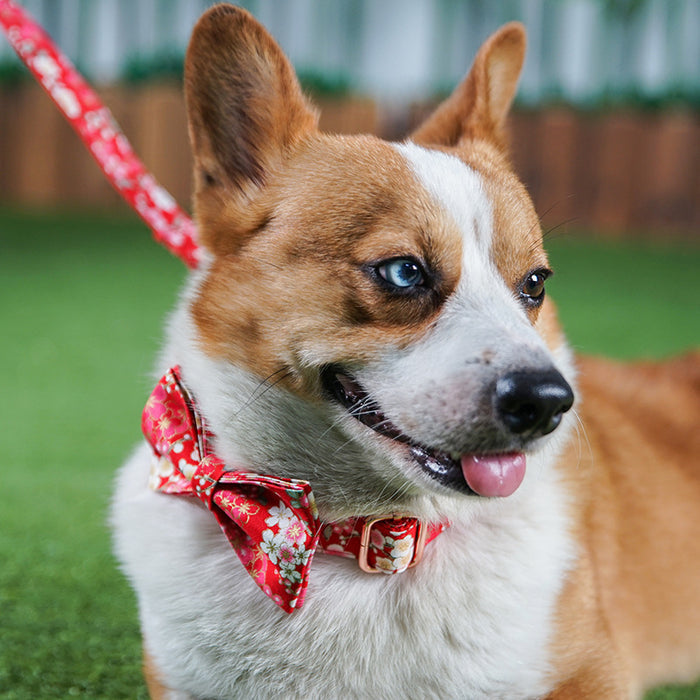 Red Flower Style Pet Pen and Leash Set for Pets