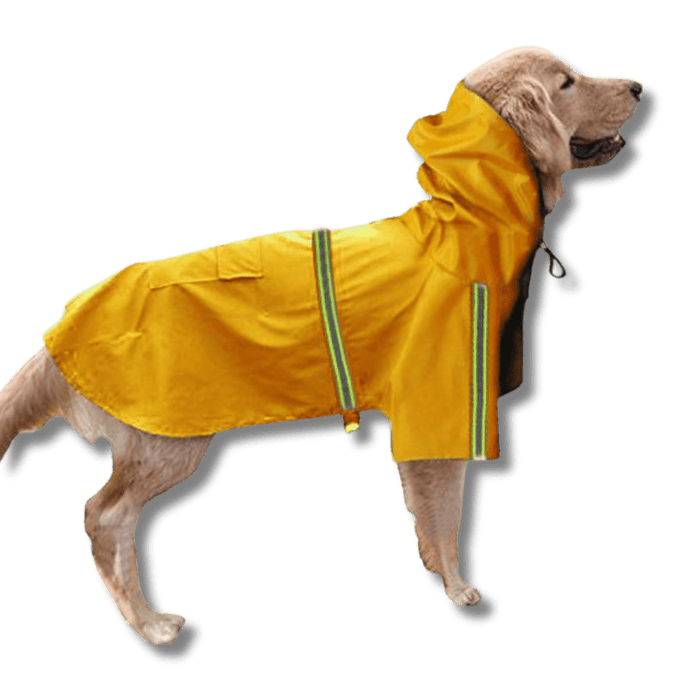 Yellow / M | 9–13 lbs (4–6 kg)