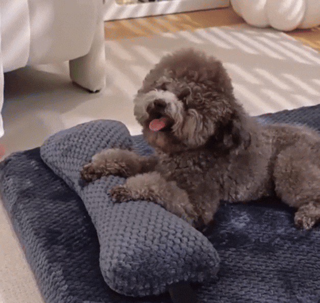 Resilient Dog Cushion Bed | Washable & Anti-Slip Pet Mat for All Seasons