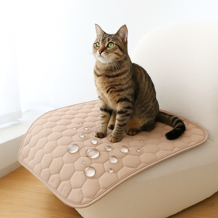 Reusable Pee Pad | Cat Training Mat – Waterproof Odor Control
