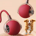 Rolling Ball Toy | Interactive Dog Toy – Motion Activated Chase Play