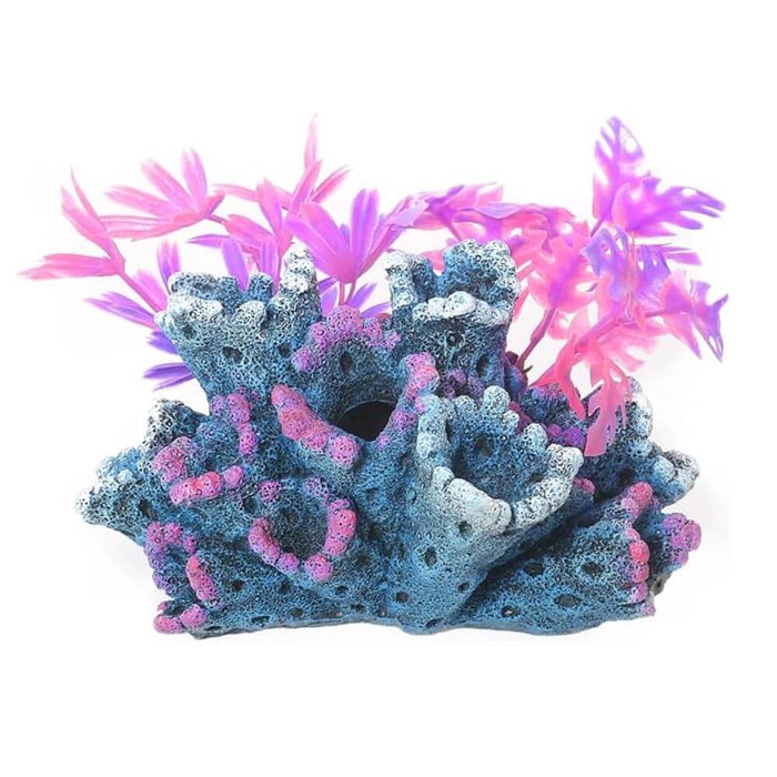 Rosewood Fantasy Reef With Plants
