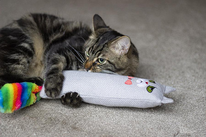 A cat cuddling the cat kicker toy