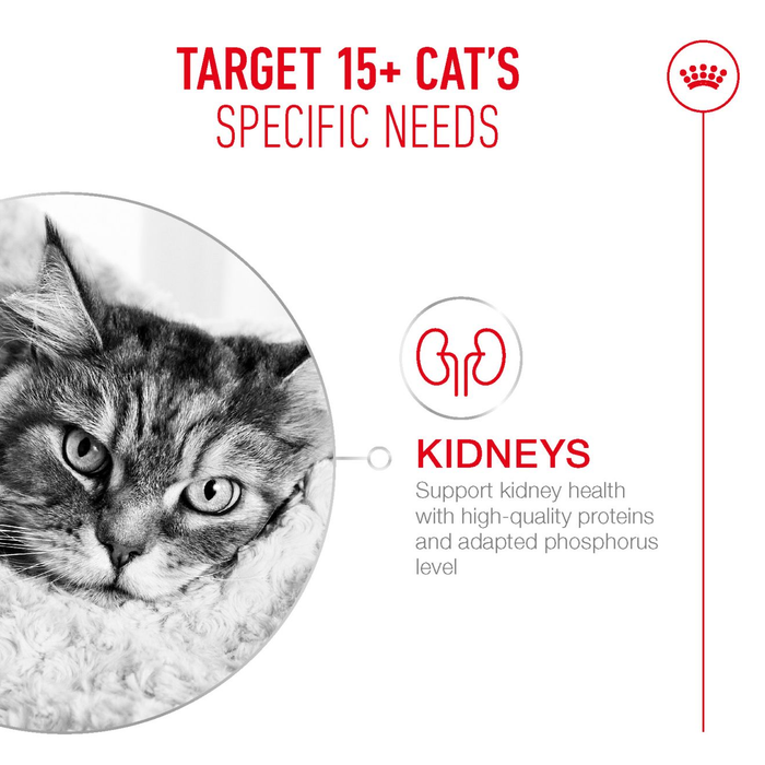 Cat's specific needs for kidney health with high-quality proteins and adapted phosphorus level.