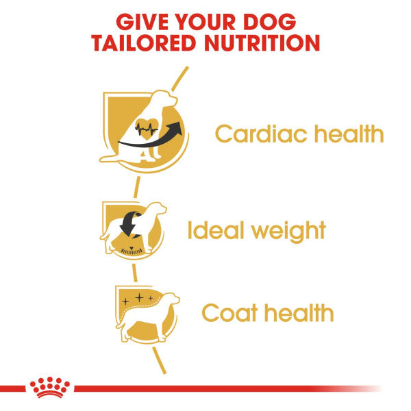 Royal Canin Cavalier King Charles Adult Breed Health Nutrition Dry Dog Food