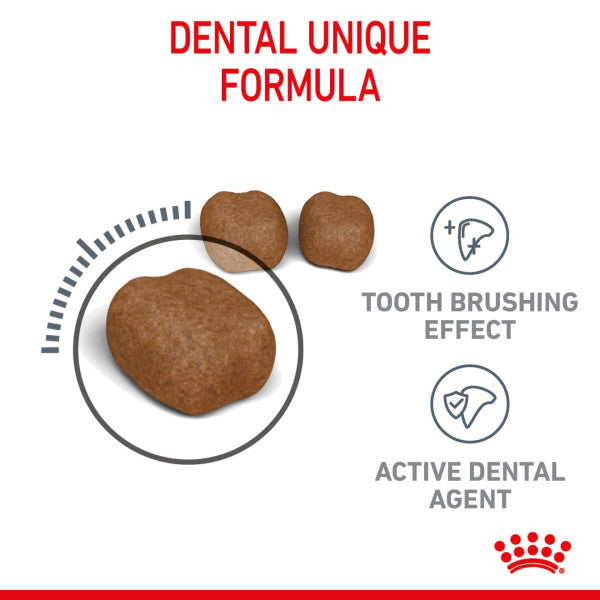 Royal Canin | Feline Care | Dry Cat Food | Oral