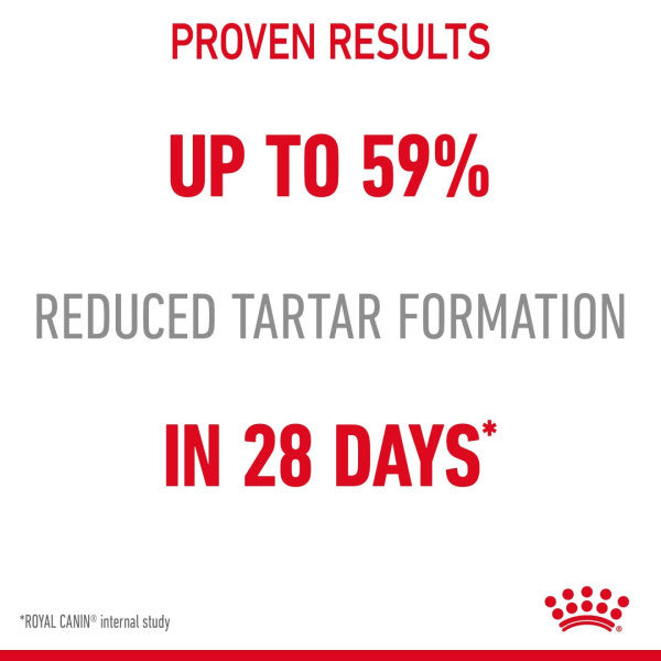 Royal Canin | Feline Care | Dry Cat Food | Oral