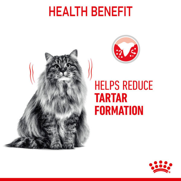 Royal Canin | Feline Care | Dry Cat Food | Oral