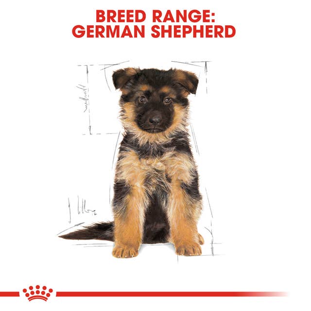 Royal Canin German Shepherd Junior Breed Health Nutrition Dry Dog Food