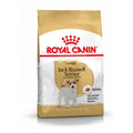 Royal Canin Jack Russell Terrier Adult Breed Health Nutrition Dry Dog Food