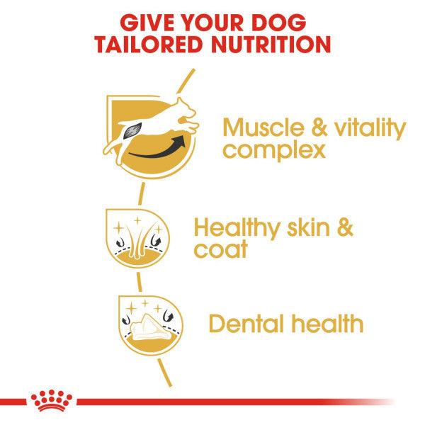 Royal Canin Jack Russell Terrier Adult Breed Health Nutrition Dry Dog Food
