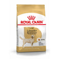 Royal Canin Labrador Adult Breed Health Nutrition Dry Dog Food