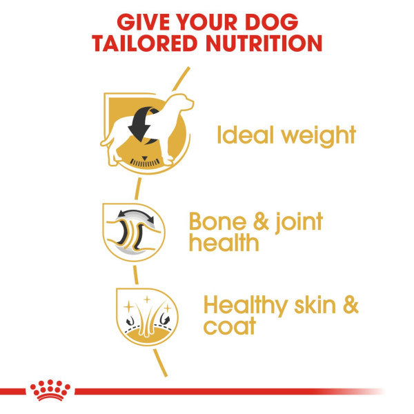 Royal Canin Labrador Adult Breed Health Nutrition Dry Dog Food