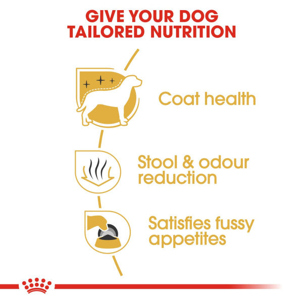 Royal Canin Maltese Adult Breed Health Nutrition Dry Dog Food