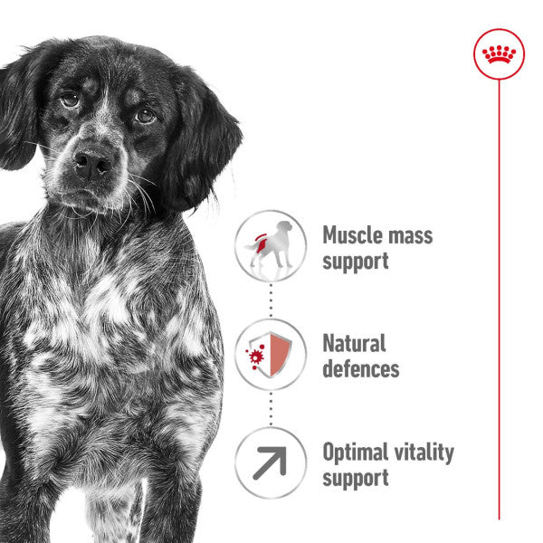 Royal Canin Medium Adult 7+ Size Health Nutrition Dry Dog Food