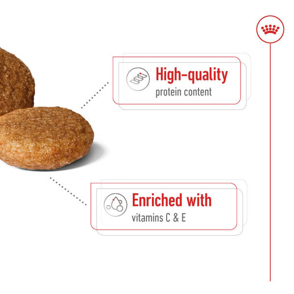 Royal Canin Medium Adult Size Health Nutrition Dry Dog Food