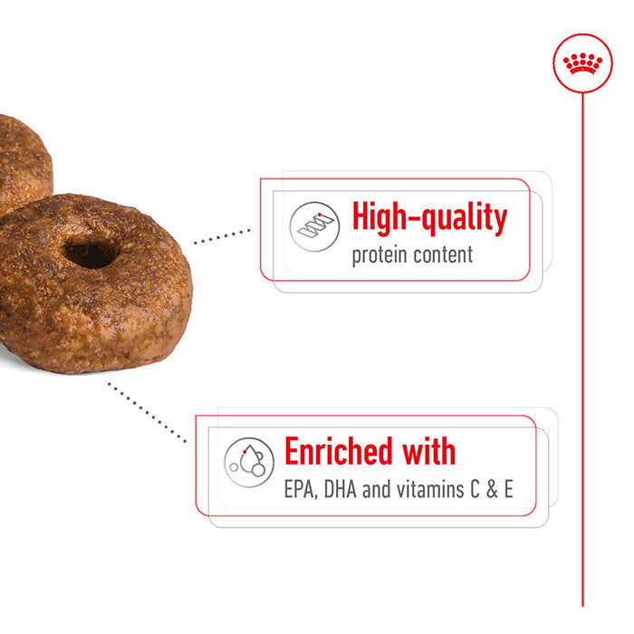Royal Canin Medium Ageing 10+ Size Health Nutrition Dry Dog Food