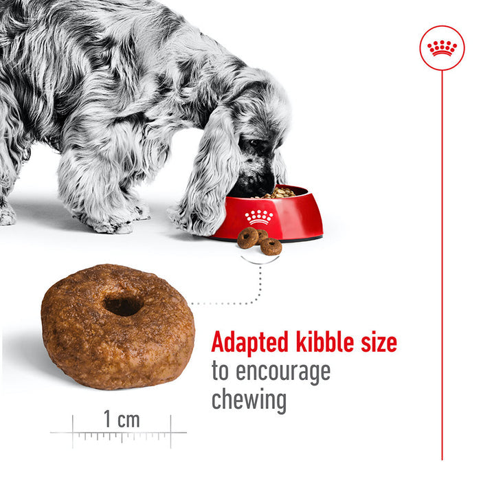 Royal Canin Medium Ageing 10+ Size Health Nutrition Dry Dog Food