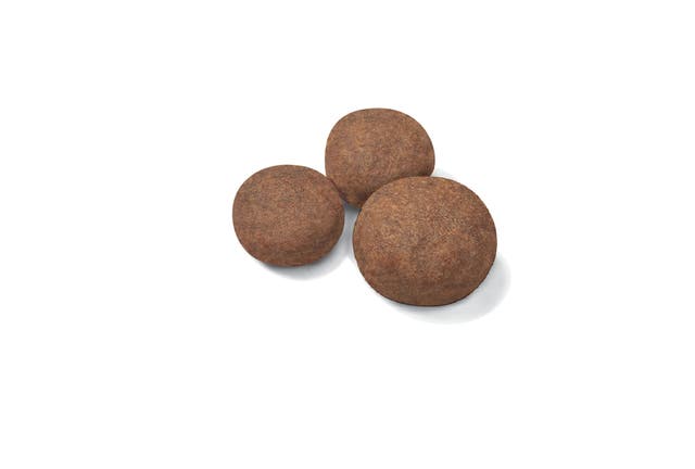 Royal Canin Medium Puppy Size Health Nutrition Dry Dog Food
