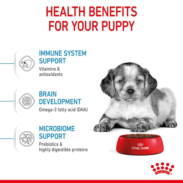 Royal Canin Medium Puppy Size Health Nutrition Dry Dog Food