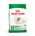 Royal Canin Mini Ageing 12+ Size Health Nutrition Dry Food for Small Dogs
