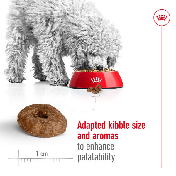 Royal Canin Mini Ageing 12+ Size Health Nutrition Dry Food for Small Dogs