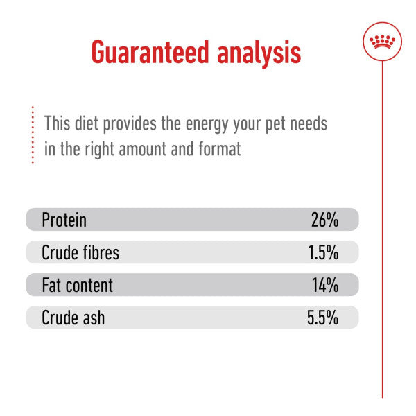 Royal Canin Mini Ageing 12+ Size Health Nutrition Dry Food for Small Dogs
