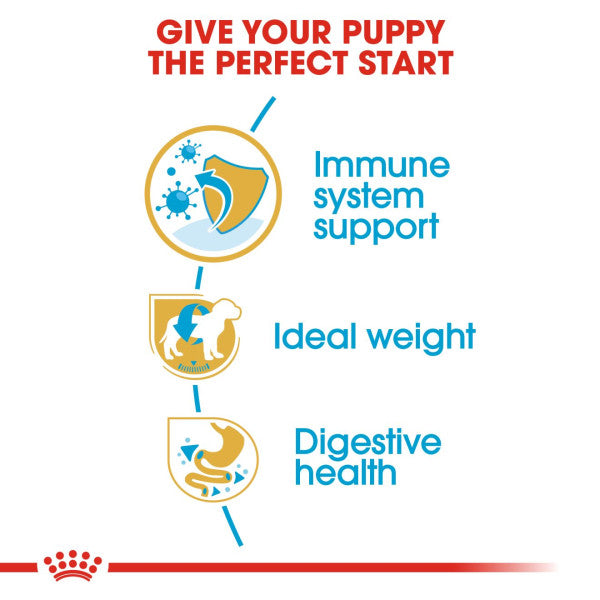 Royal Canin Miniature Schnauzer Puppy Breed Health Nutrition Dry Dog Food
