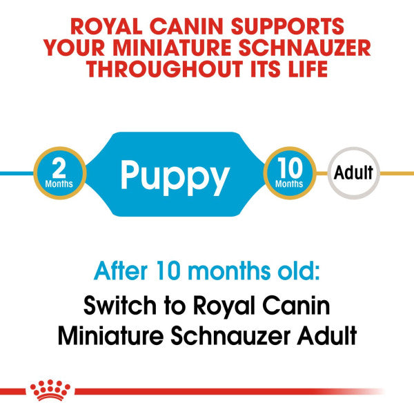 Royal Canin Miniature Schnauzer Puppy Breed Health Nutrition Dry Dog Food