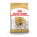 Royal Canin Pug Adult Breed Health Nutrition Dry Dog Food