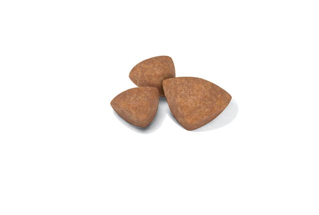 Royal Canin X-Small Puppy - Size Health Nutrition Dry Food for Tiny Dogs