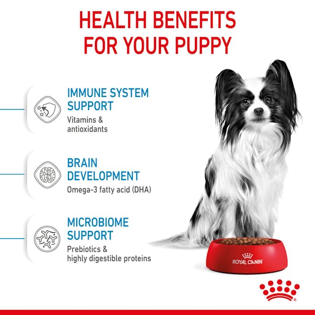 Royal Canin X-Small Puppy - Size Health Nutrition Dry Food for Tiny Dogs