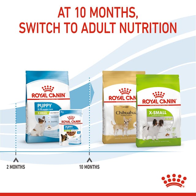 Royal Canin X-Small Puppy - Size Health Nutrition Dry Food for Tiny Dogs
