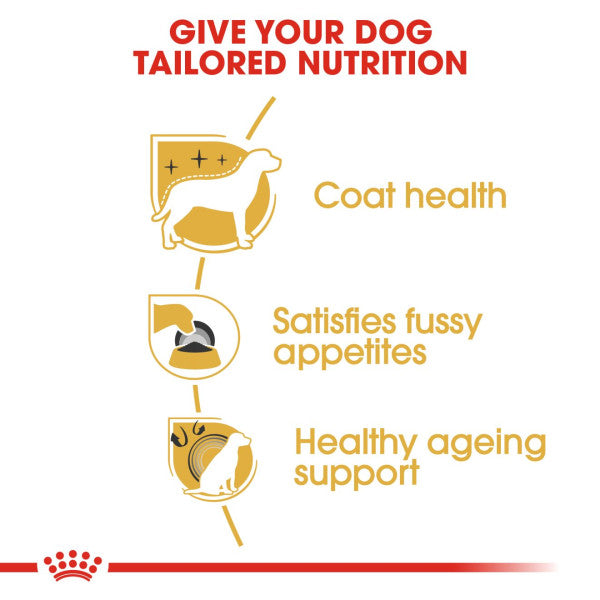 Royal Canin Yorkshire Terrier Adult Breed Health Nutrition Dry Dog Food