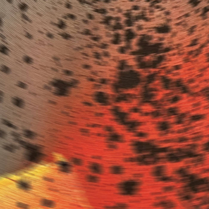 Sciahri-Pareidolia III